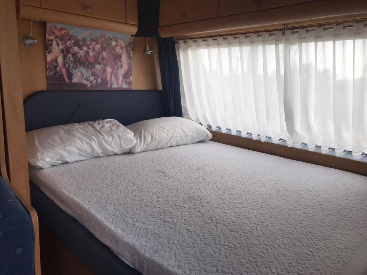 Campsite Agri Italiano - Eucalyptus